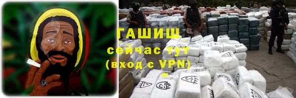 ECSTASY Бородино