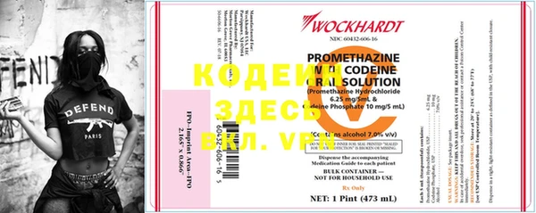 ECSTASY Бородино