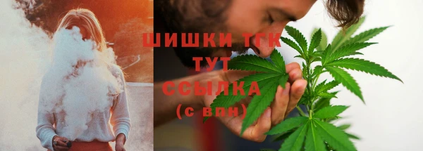 ECSTASY Бородино