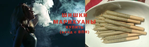 ECSTASY Бородино