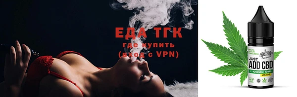 ECSTASY Бородино