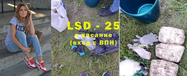 ECSTASY Бородино