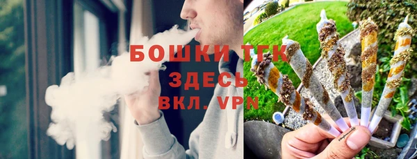 ECSTASY Бородино