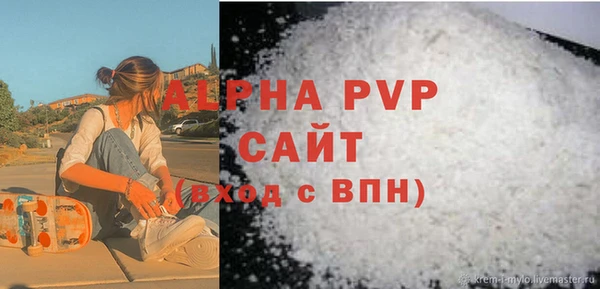ECSTASY Бородино