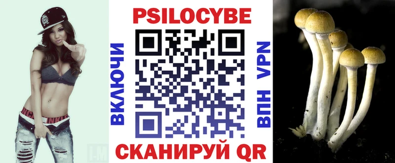 Псилоцибиновые грибы ЛСД  дарнет шоп  Фатеж 